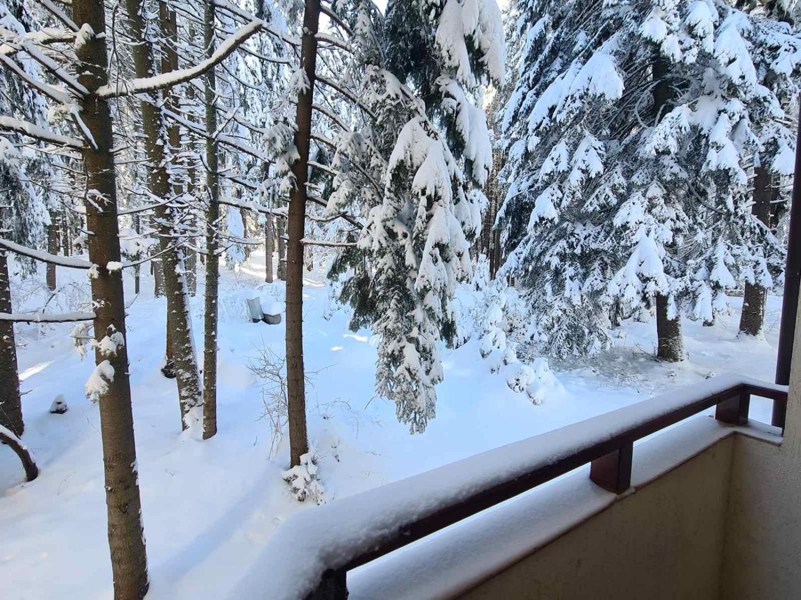 Forest Apartment/ Villa Park Borowec Zewnętrze zdjęcie