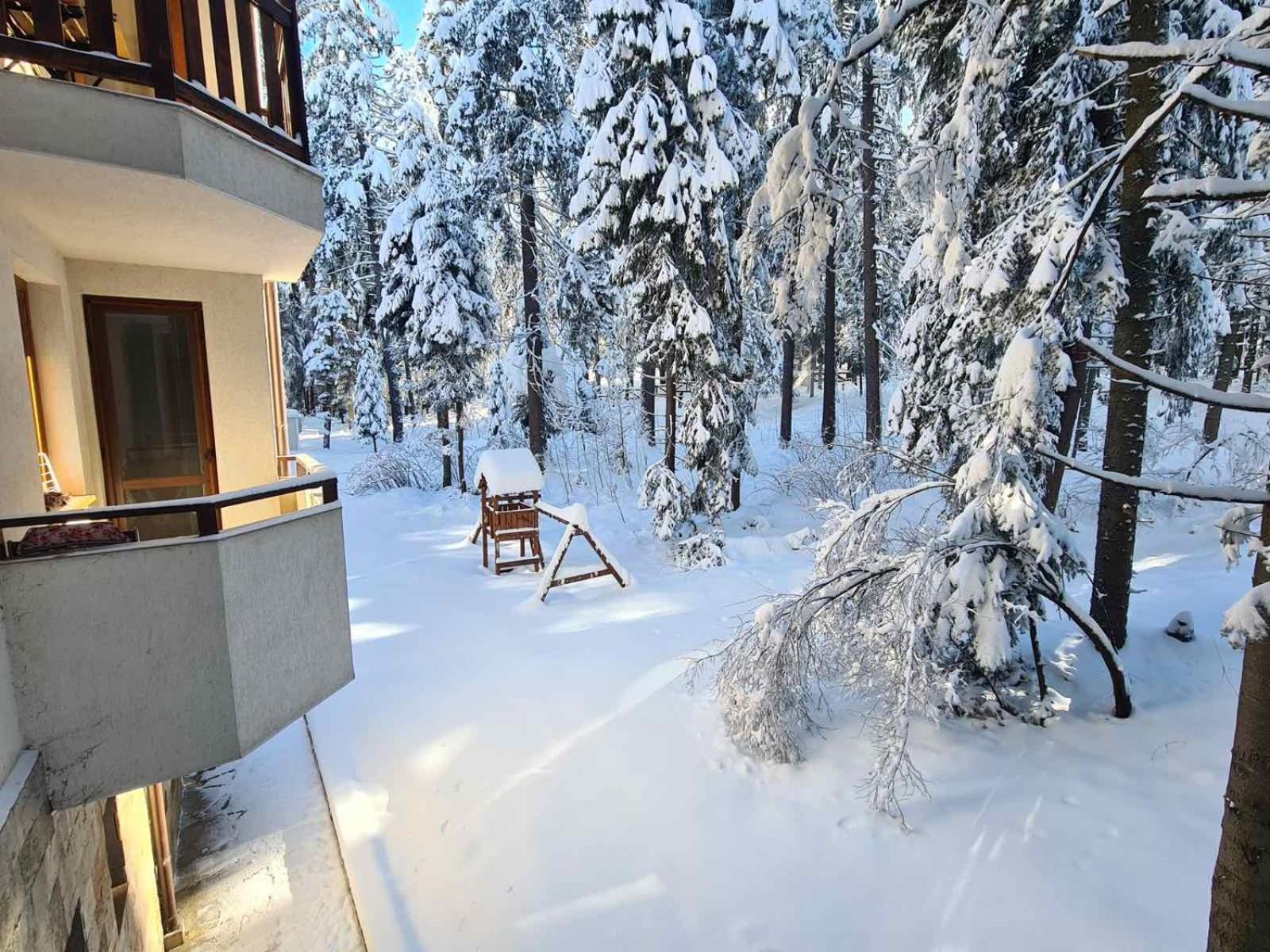 Forest Apartment/ Villa Park Borowec Zewnętrze zdjęcie
